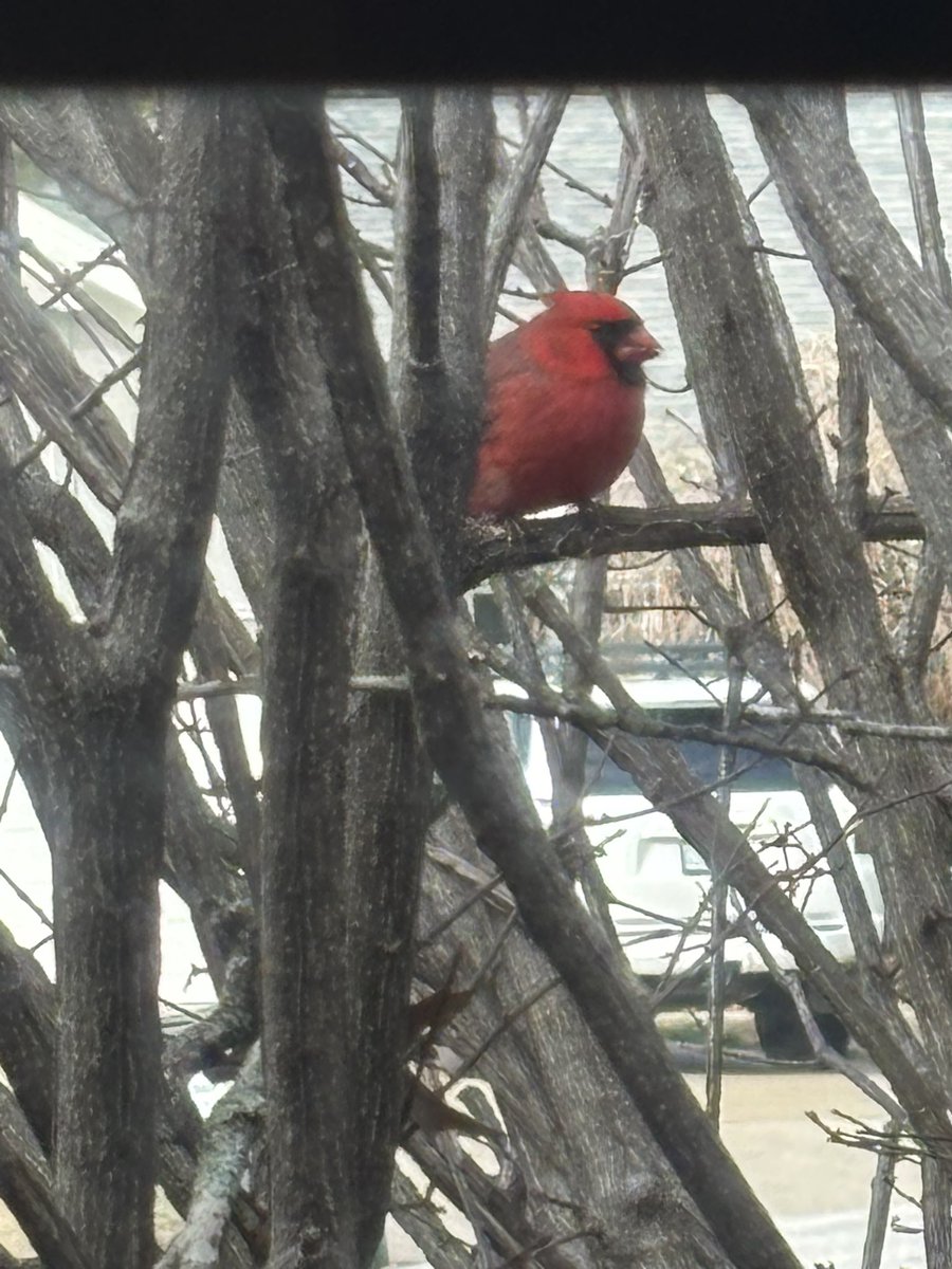 kevin howard tweet media