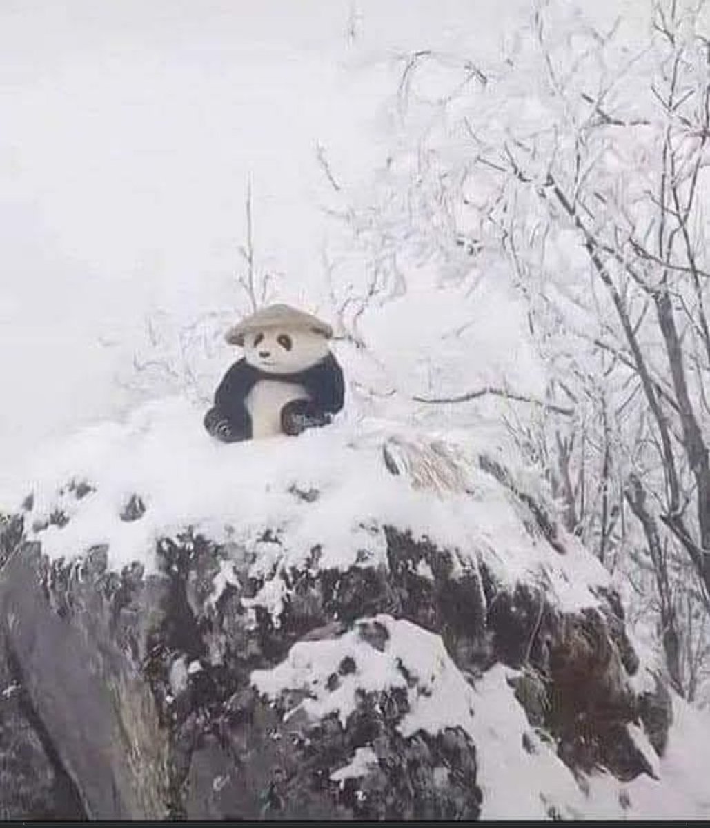 How many dumplings can this guy eat?