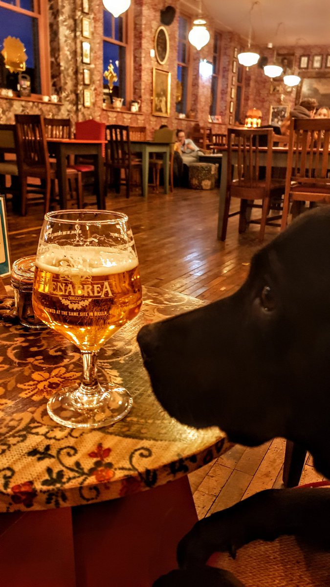 Cheers all 🍺🥰👌