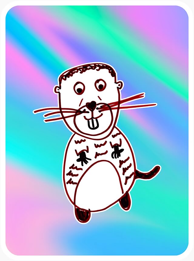 Jayden Levitt tweet media