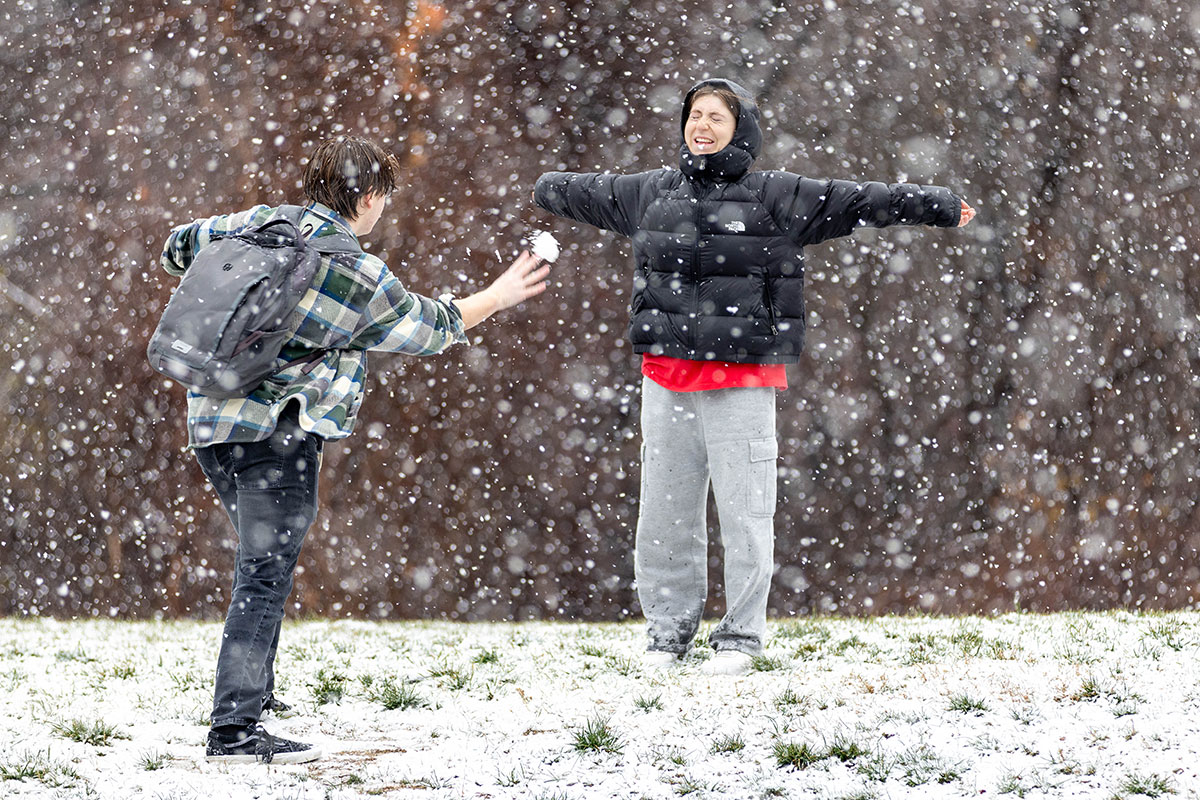 Brandeis University tweet media