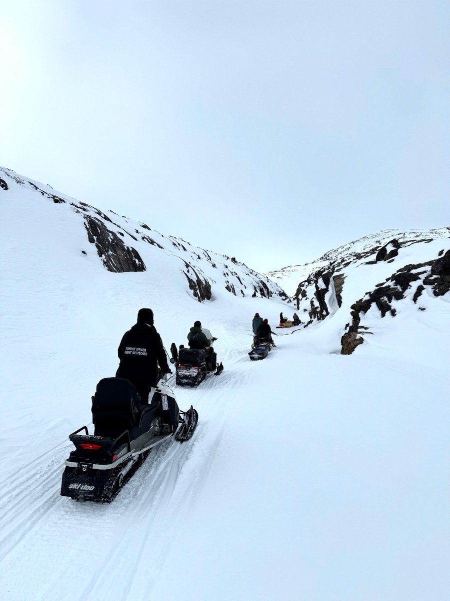 We’re hiring! Come work with us as a Field Supervisor (GT-05) as part of our Conservation and Protection program in the Arctic region, where you will lead a team of fishery officers. 

Learn more about this opportunity: ow.ly/8kWf50UyK2s