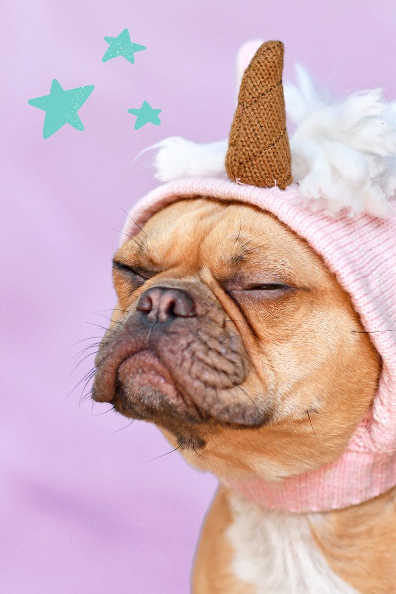 OUR WORD FOR 2025: 

⁠FLOW 🏄‍♀️

This pup is the vibe and we are here for it. 

🦄 l8r.it/7yZm

#bnlsocial #breathenourishlove #edutainment #socialmediaconsulting #socialmediaconsultant #socialmediamanagement #socialmediamanager