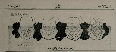 Ali Kemal,  kalemini en etkili kullanan önemli gazetecilerden. Onun tenkitleri o kadar sivri ki nasibini alanlara çok acı vermiş. Fransızlardan uyarladığı  "lahana yaprağı" ibaresi ise bazı gazetelere olan bakışını gösterir. Aşağıdaki onu lahanaya benzeten bir karikatür...