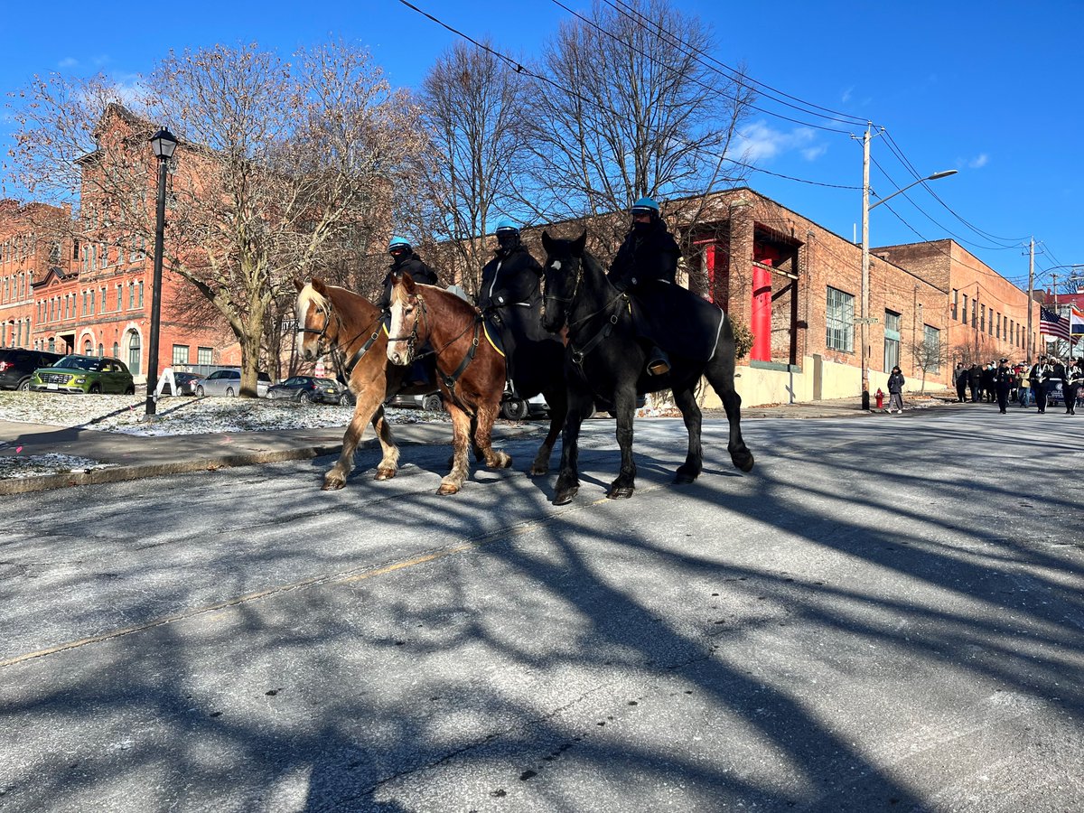 We are excited to kick off 2025 w/ a very special event, hosted by the City of Albany's Office of Cultural Affairs on Mon January 20! Join the community as we walk in solidarity to honor the life &amp; legacy of Dr. Martin Luther King Jr with a wreath laying ceremony in Lincoln Park.