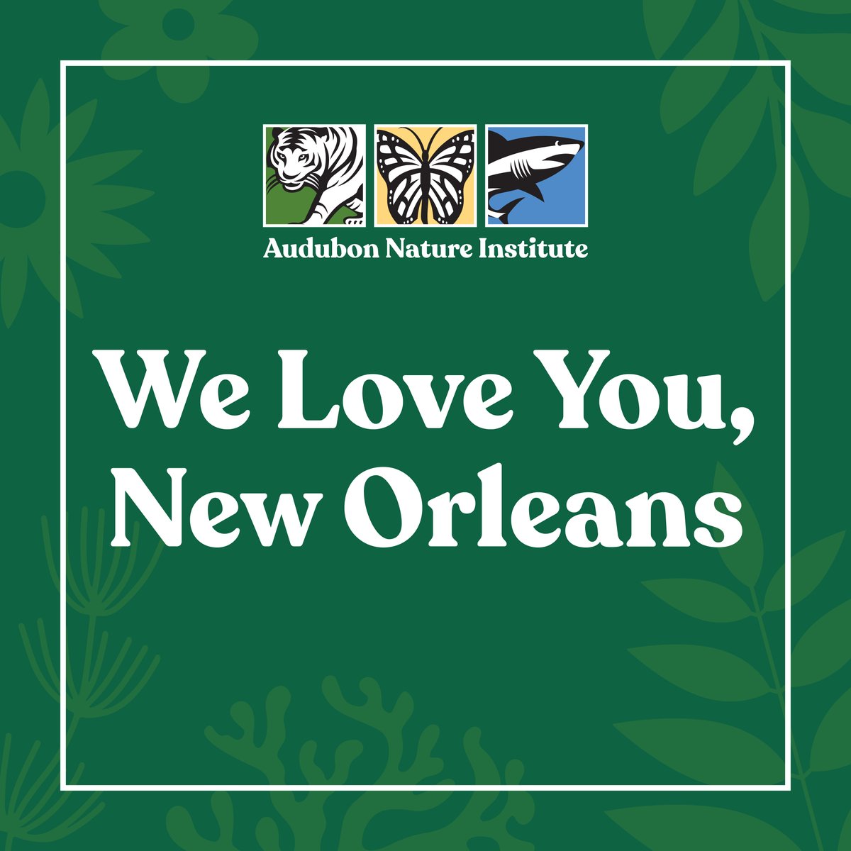 AudubonNature's tweet photo. Audubon Aquarium, Insectarium, and Zoo will have normal operating hours today, Jan. 2. Effective immediately, we are implementing safety measures at all Audubon attractions. New Orleans, we love you, and we are with you. We hope we can bring some joy during this dark time. https://t.co/fZM0OdBX0A