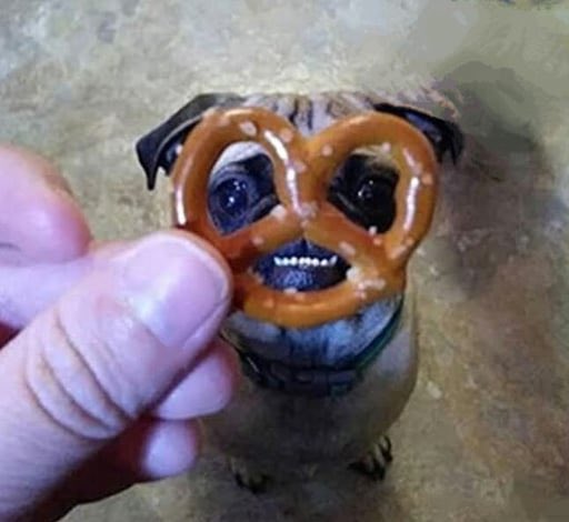 anonchain's tweet image. Not too late! 

Just getting started, announcing Pretzel Pets contest for community soon! 🥨🐶

8pgqSp32xNxYzgGqhbxatbmdAahMuPe2S4UYeufBEur7