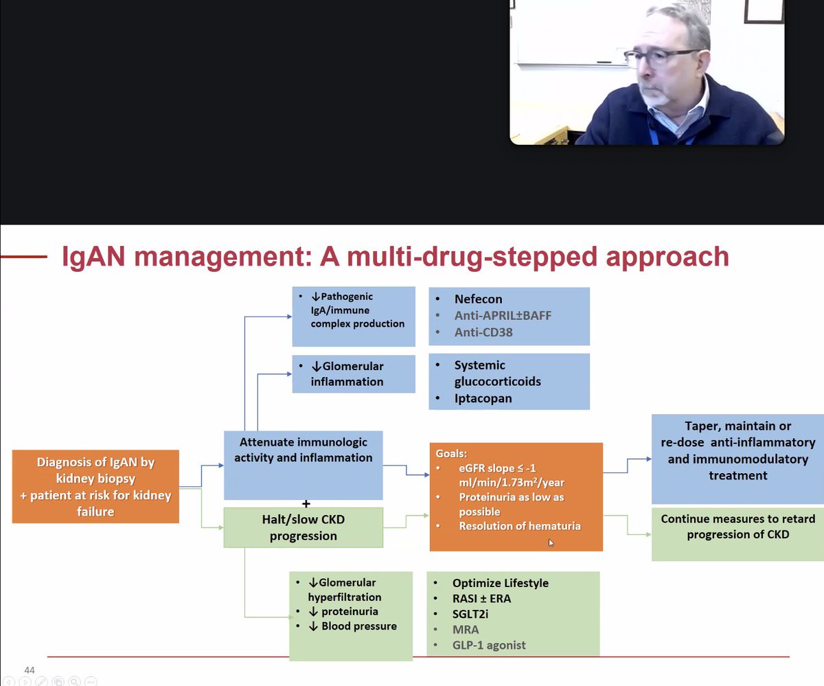 IgAN treatment dilemma: Proteinuria 📉 and eGFR stabilization are key, but is it time to consider other surrogates? 🤔 2025 <a href="/GlomCon/">GlomCon</a> <a href="/BradRovin/">Brad H Rovin</a> 🎉