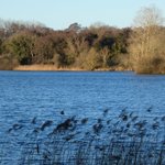 Photo by SWTLackfordLakes (@SWTLackfordLake)