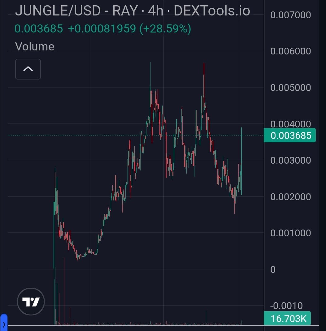 Johnny Hammer tweet media