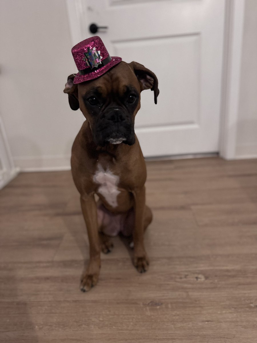 Happy New Year!!
