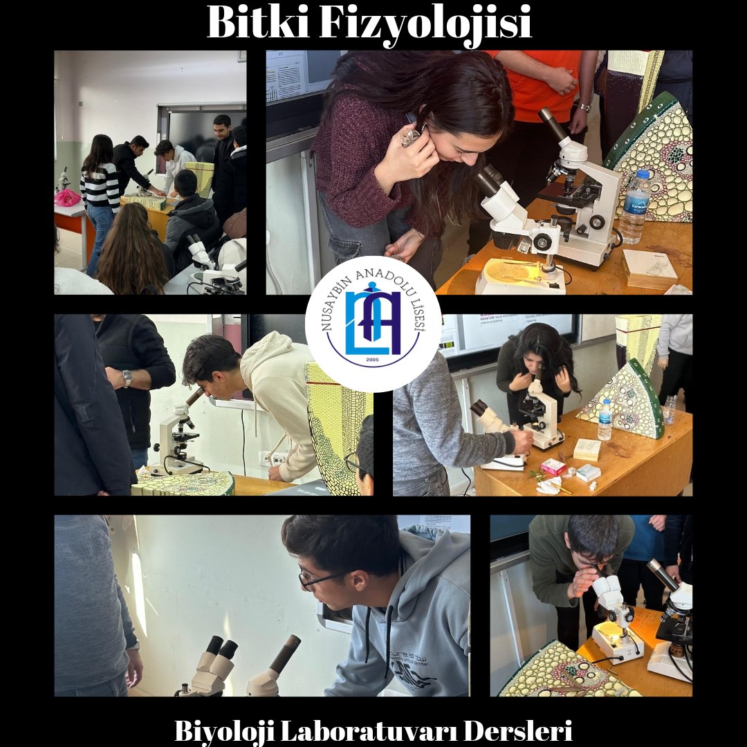 12. sınıf öğrencileri, Biyoloji dersinde Mehmet Ali Günen hocanın rehberliğinde Bitki Fizyolojisi konusunu inceledi. Bitki yapıları, maket ve mikroskop altında detaylı bir şekilde gözlemlendi.