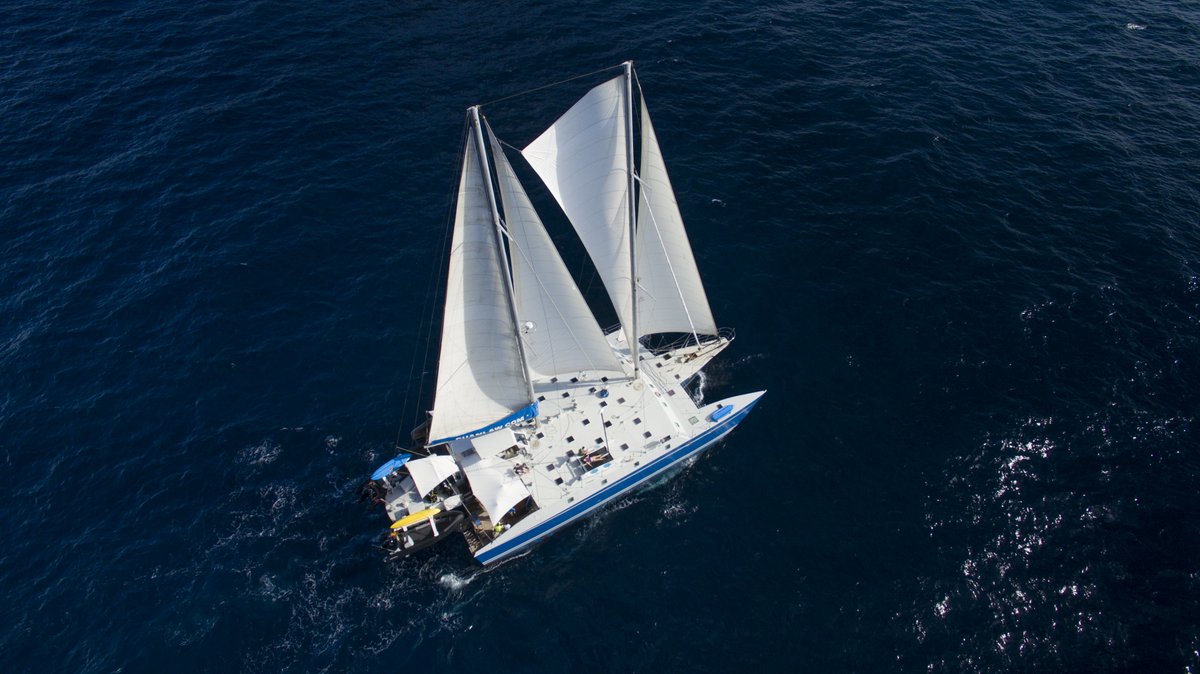 This year, let's dive into the unknown—whether it's getting dive certified, exploring new dive sites, or discovering destinations. ✨ 

Learn more about your next vacation at bvisailing.com

 #NewYearNewAdventures #newyearsresolution #divecertified  #sailing #bvi