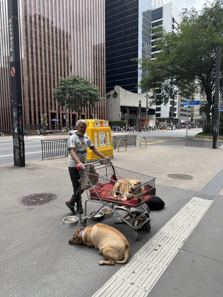 Isacc07's tweet photo. la avenida paulista, Brasil 🇧🇷
Como amo a este jotx mauuuu https://t.co/leybVxYkm6