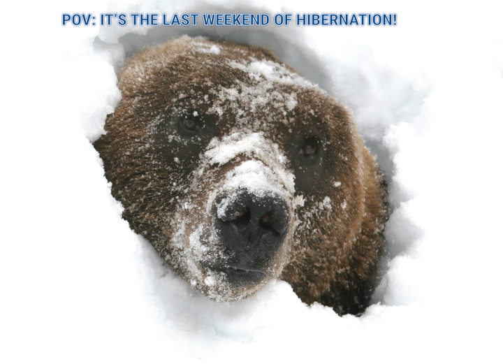 DawsonSchool's tweet photo. One more long weekend to hibernate, Dawson Bears! We're excited to welcome you back to school for the second semester on Tuesday, January 7. Have a wonderful winter weekend!  #DawsonDifference https://t.co/48bOBZJdRz