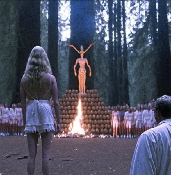 Matt Wallace tweet media