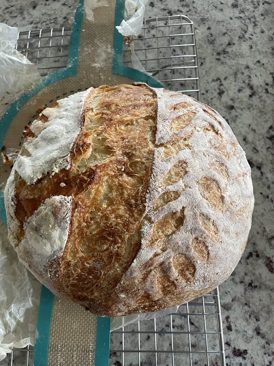sinayax2's tweet photo. cw food

continuing to create my sourdough empire https://t.co/hdUVGqlf99