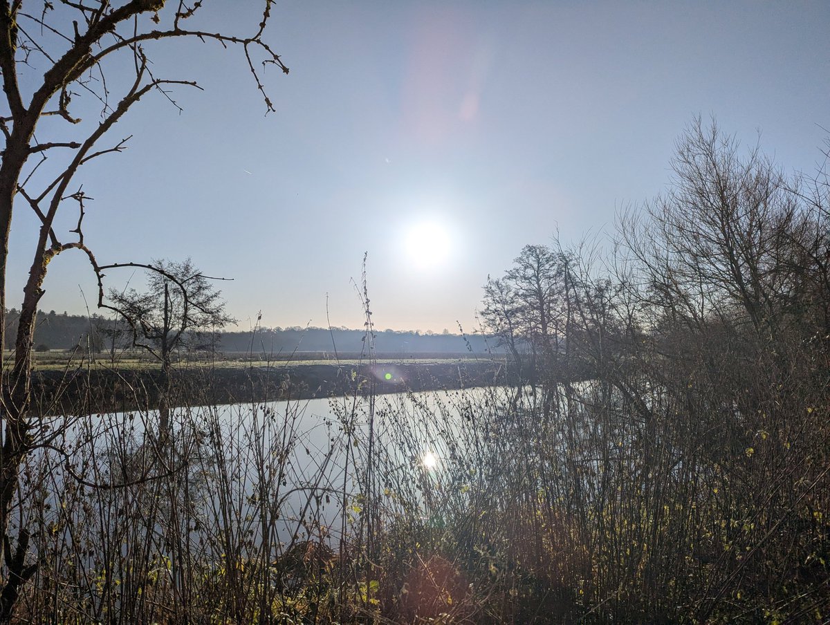 Warwick100B's tweet photo. Whoooooaaaa we're halfway there....π€
Day 2 and list up to 52.
Highlights were the weather, blackcap and lesser redpoll (Steve) little grebe (Alec) and cetti's warbler (Rick)
Credit also to David Ludlow, for a stonechat at the racecourse yesterday.
What a team!
#warwick100 https://t.co/Y2ZyvdAaTz