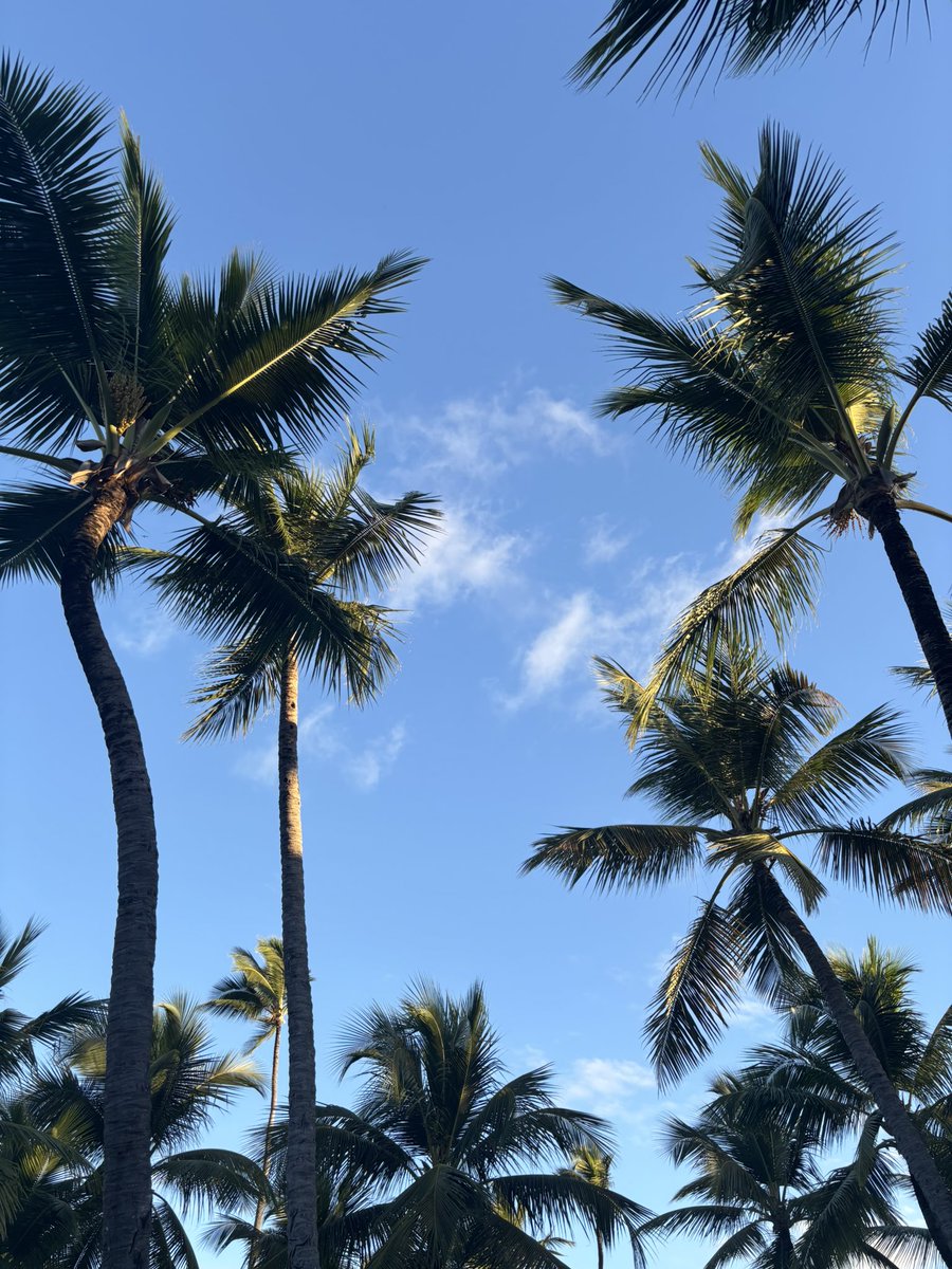 HNY… the Messers have found some winter sunshine in the Dom Rep 🌎☀️ #maternityleave #HappyNewYear2025