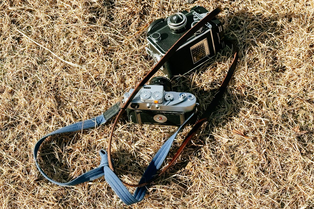 Felix_1am's tweet photo. Nice sunshine with those cameras ~~~ https://t.co/Aj593pBK8e