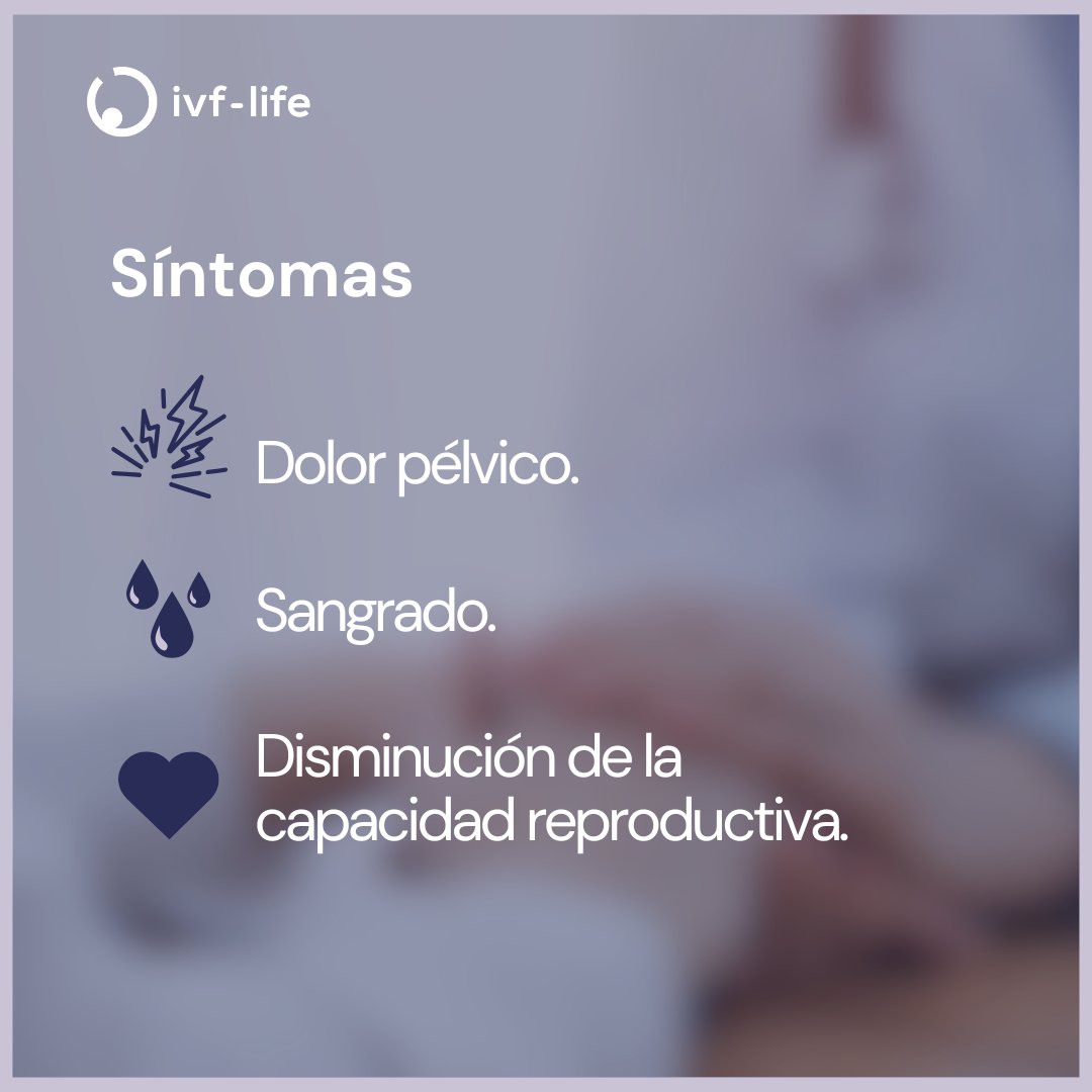 Esta enfermedad era conocida por estar relacionada con sangrados abundantes, fuertes dolores menstruales, así como con el aumento del tamaño del útero. 

Te contamos más en nuestro blog: bit.ly/4gEoBWa

#ivflife #fertilidad #ciencia #medicinareproductiva