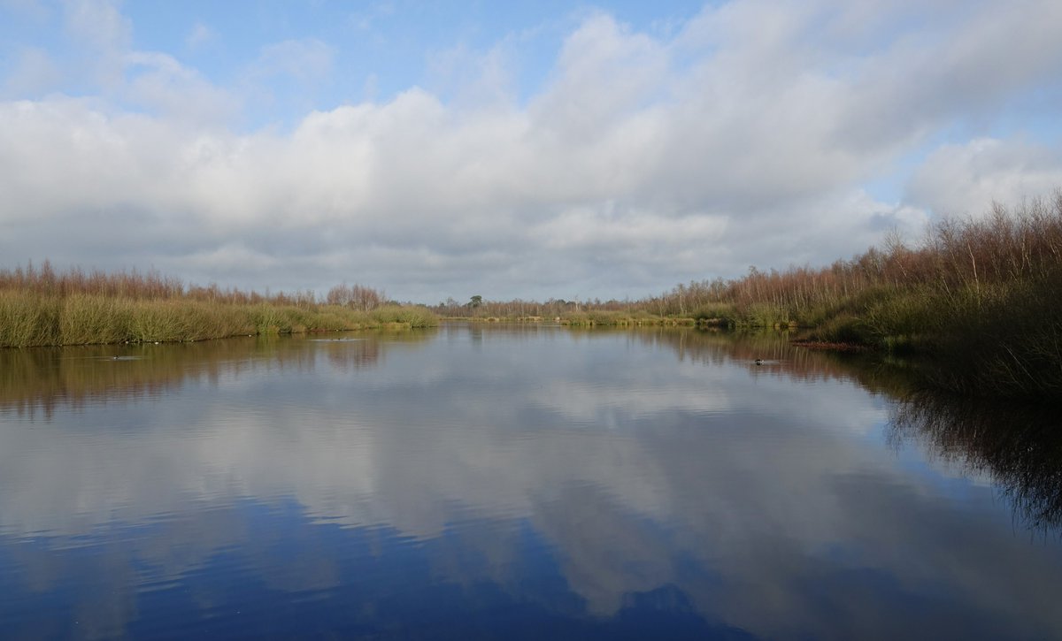 Een paar uurtjes zon, dus camera mee en genieten. Van vogels en wandelaars in het Nationaal Park De Groote Peel!