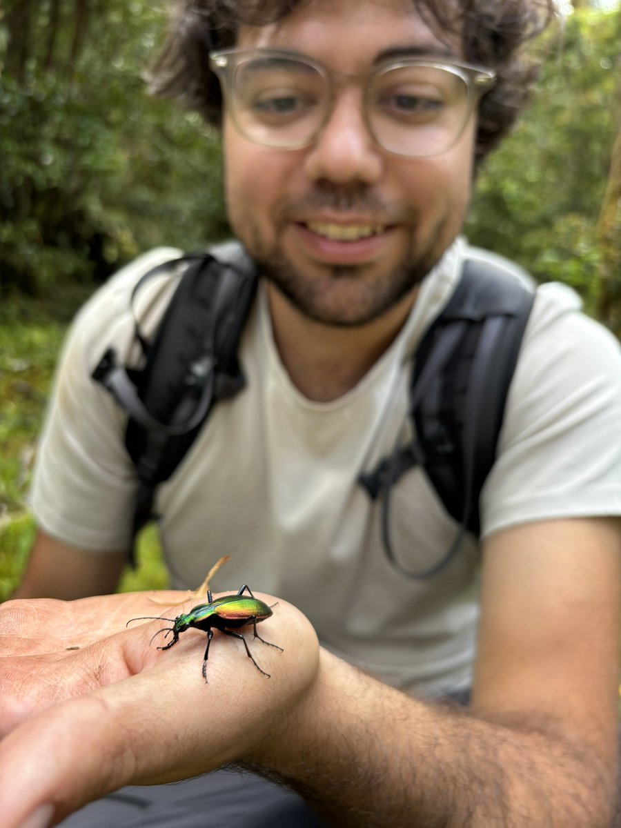 Gioele Moro (@morogioele) on Twitter photo Nov-Dec 2024, I collaborated on the EdAFoBio project in #Chile 🇨🇱
We sampled #soil #arthropods along two 200-km transects in the Mediterranean & Temperate regions
Excited for the DNA metabarcoding results!
@IPNA_CSIC <a href="/SoilEvoEcoLab/">SoilEvoEcoLab</a> Nov-Dec 2024, I collaborated on the EdAFoBio project in #Chile 🇨🇱
We sampled #soil #arthropods along two 200-km transects in the Mediterranean & Temperate regions
Excited for the DNA metabarcoding results!
@IPNA_CSIC <a href="/SoilEvoEcoLab/">SoilEvoEcoLab</a>