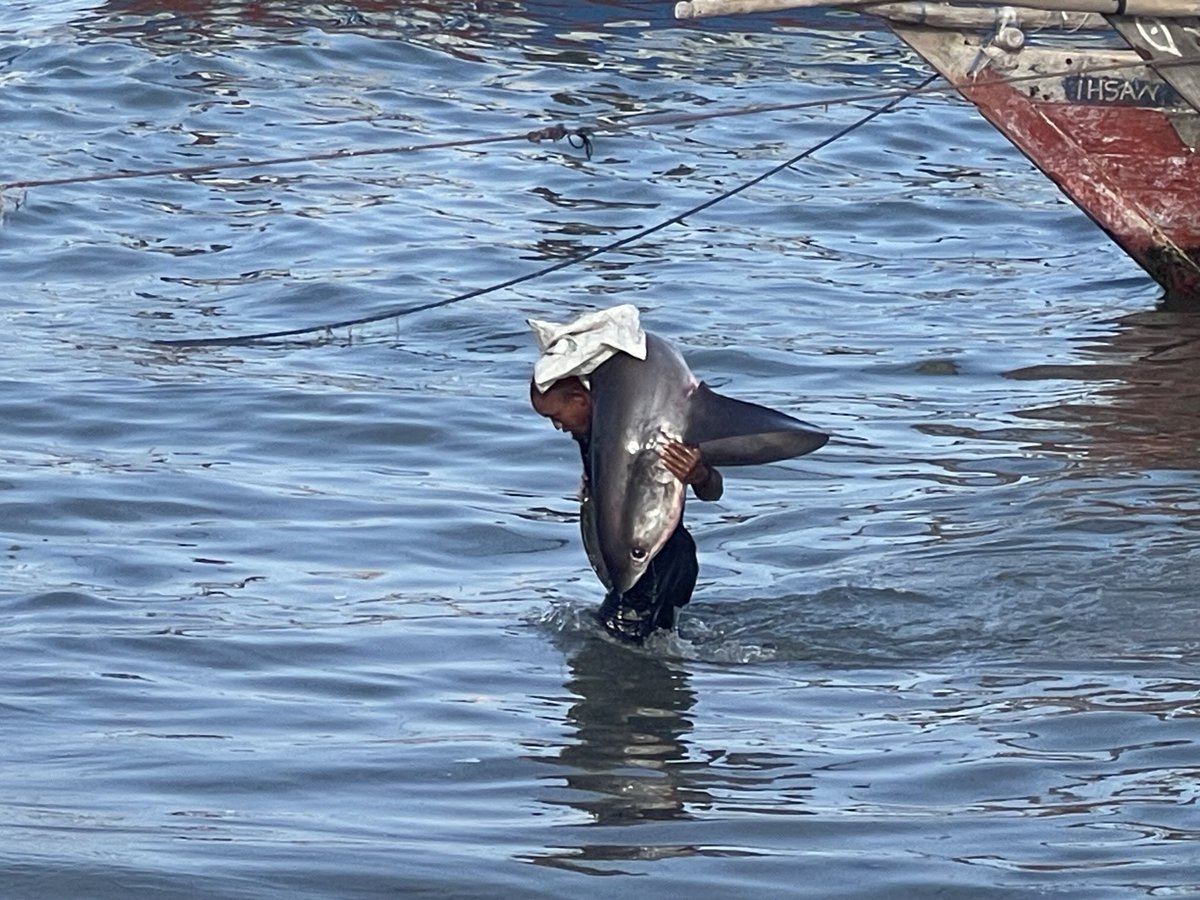 Darren Martin tweet media