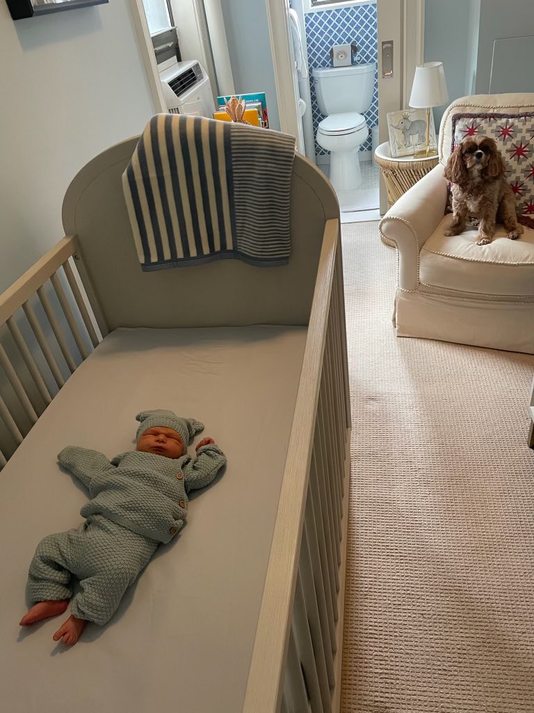Nick Fineman (@the_fineman) on Twitter photo Charleston “Charlie” Delaney Fineman was born just in time for the new year. <a href="/Summer_Delaney/">Summer Delaney</a> and I are overjoyed. Baby and mom are healthy and happy. Charleston “Charlie” Delaney Fineman was born just in time for the new year. <a href="/Summer_Delaney/">Summer Delaney</a> and I are overjoyed. Baby and mom are healthy and happy.