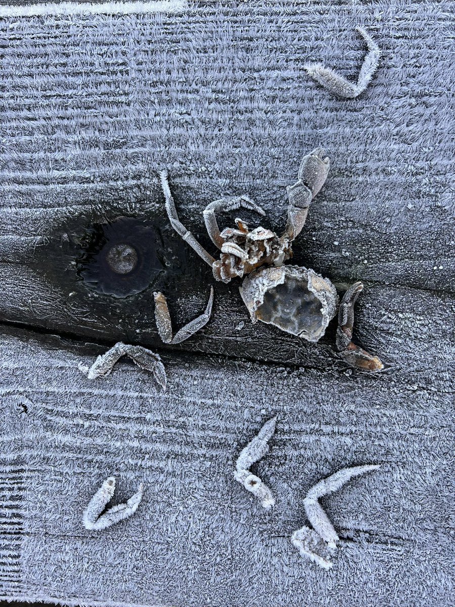 Christina Riley tweet media