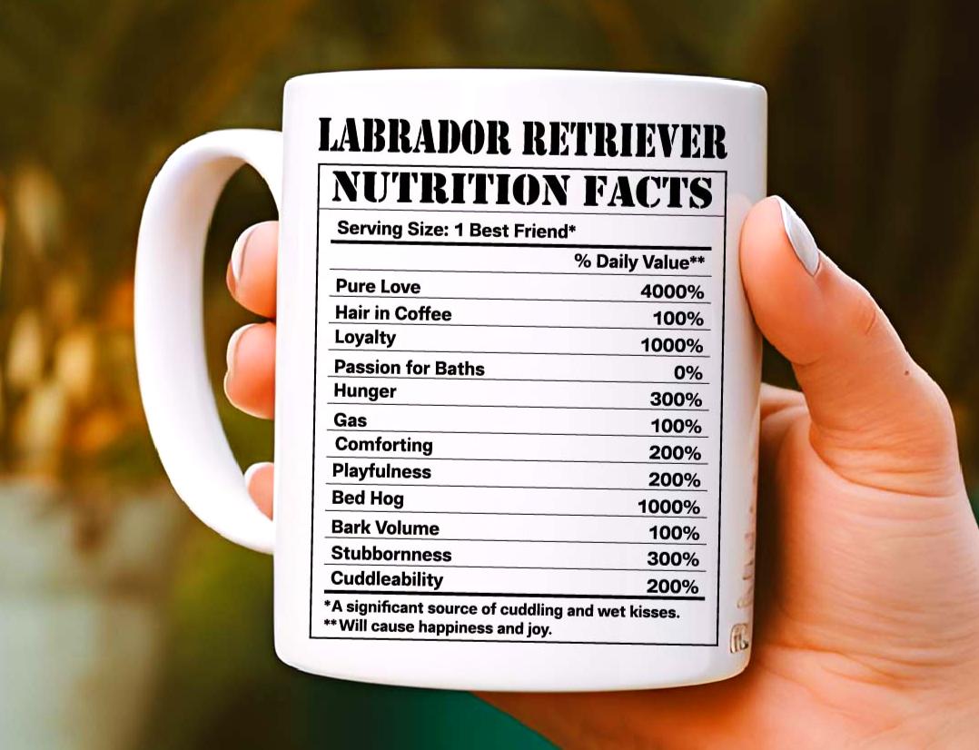 LabradorRetri's tweet image. 😍😍