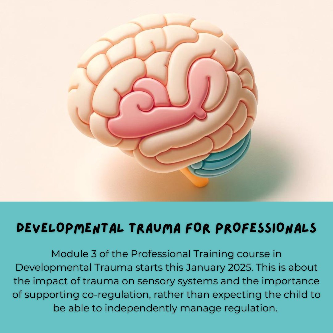 Treehouse Practice (@treehouse_ie) on Twitter photo Module 3 of the Professional Training course in Developmental Trauma starts this January 2025. This is about the impact of trauma on sensory systems and the importance of supporting co-regulation, rather than expecting the child to be able to independently manage regulation. Module 3 of the Professional Training course in Developmental Trauma starts this January 2025. This is about the impact of trauma on sensory systems and the importance of supporting co-regulation, rather than expecting the child to be able to independently manage regulation.