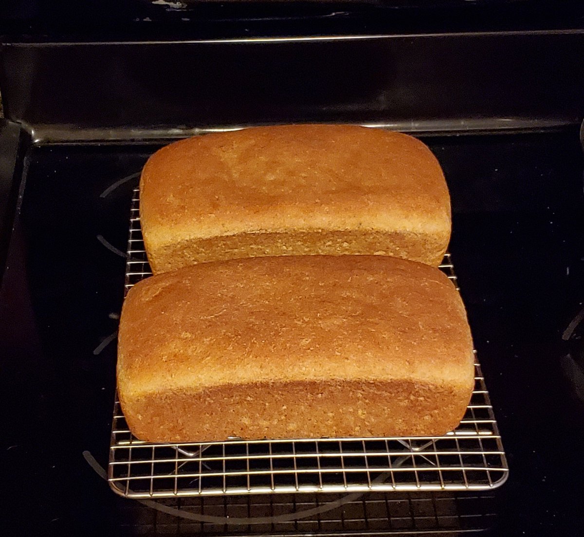 ZeeJay4's tweet photo. The hardest step BY FAR is the "allow to completely cool before slicing" step... smells heavenly π€€ I rarely eat bread but I always eat a couple pieces of the bread I bake for my mom. Made using freshly ground wheat berries for the flour #soextra #cleanereats https://t.co/kTDFBWsosg