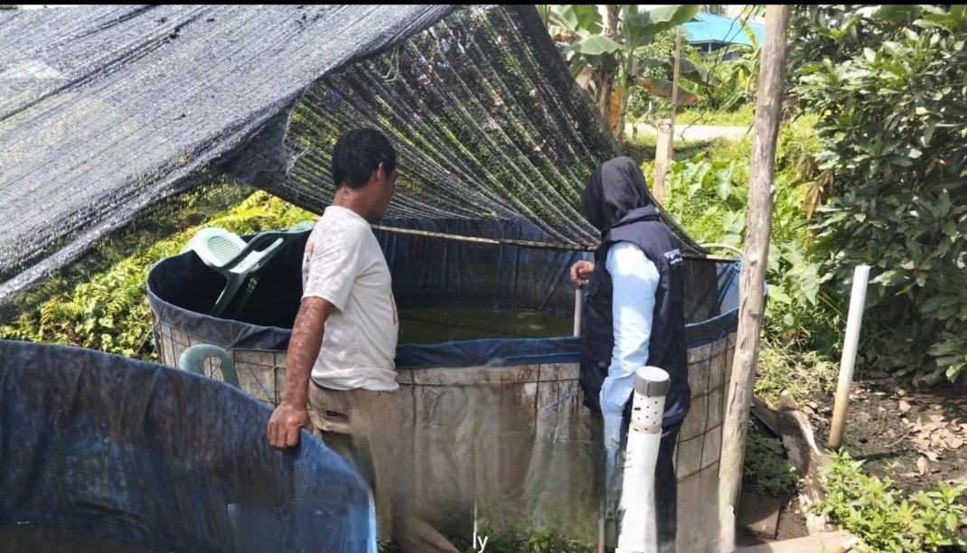 arek_berau's tweet photo. Senin, 23/12/2024, Melaporkan hasil panen ikan lele budidaya kolam terpal Pokdakan Wacanah  Kp. Merancang Ilir Kecamatan Gunung Tabur; sebnyak 158 kg, size 6-8 ekor/kg, harga 27rb/kg 
#GiatLuhkanSatminkalTegal 
#panen
#Luhlapor
#Luhkanberau https://t.co/6pL6Ekh5Jh