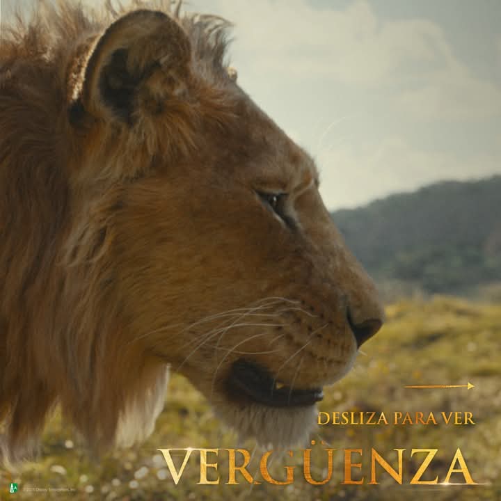 lauri366's tweet image. Las dos caras de la historia 
Vergüenza.. y Dolor.. los hermanos Mufasa y scar eran inseparables hasta que un día sus caminos se cruzaron y scar traiciono a su hermano