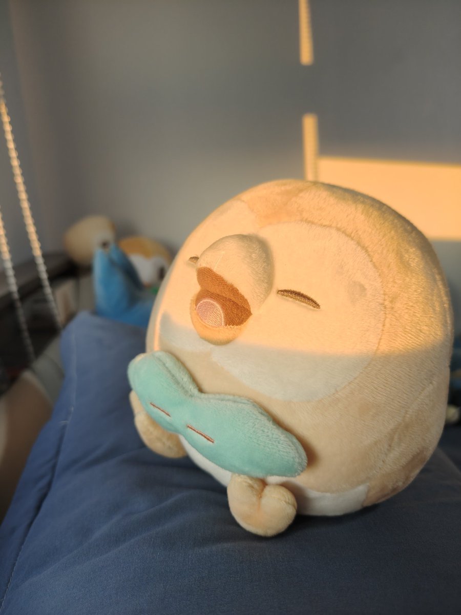 mokugonbe's tweet image. おはよ☀