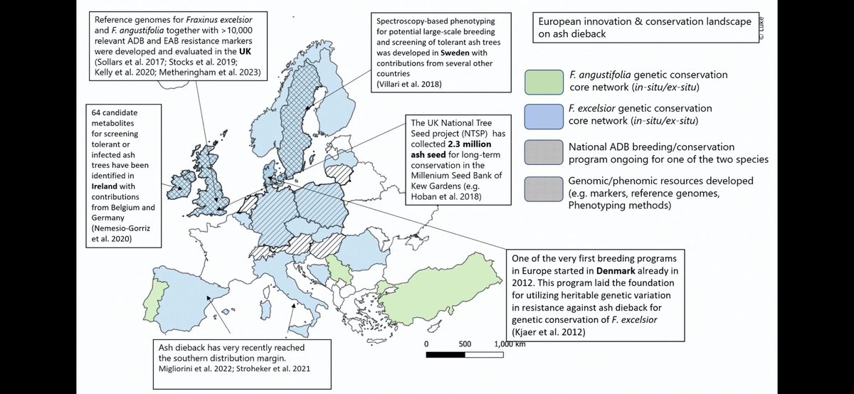 seanmhoban's tweet image. Enjoyed catching up on the Nordic conference on genetic resources. Topics include COP16, pre breeding, genetics for pest &amp;amp; disease resistance, ash dieback, DSI and climate change. Recordings are free to all. vimeo.com/1039623009 and vimeo.com/1039625510 thanks @NordGen