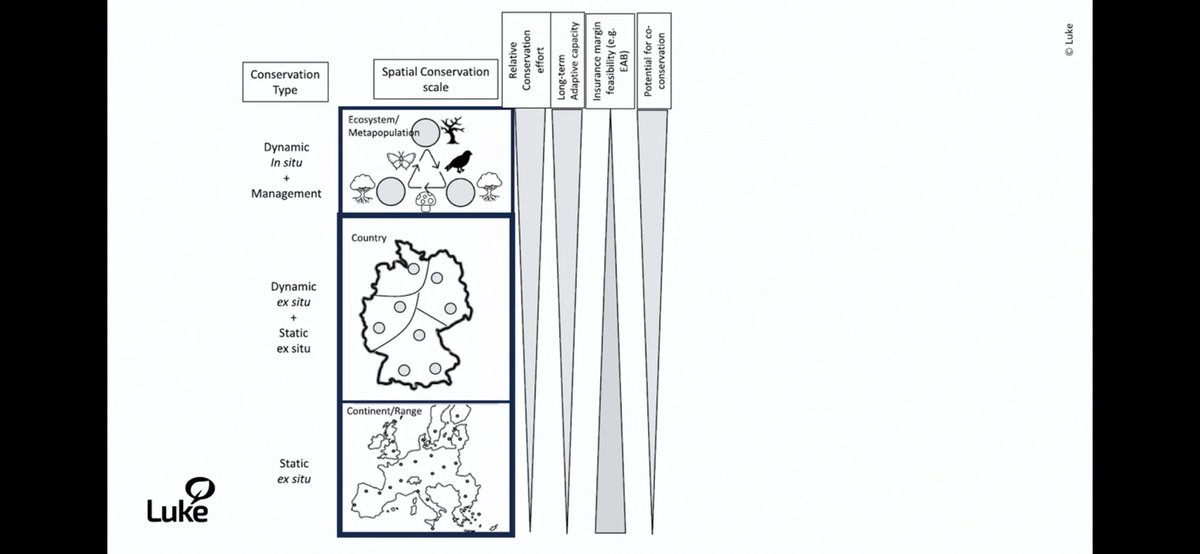 seanmhoban's tweet image. Enjoyed catching up on the Nordic conference on genetic resources. Topics include COP16, pre breeding, genetics for pest &amp;amp; disease resistance, ash dieback, DSI and climate change. Recordings are free to all. vimeo.com/1039623009 and vimeo.com/1039625510 thanks @NordGen