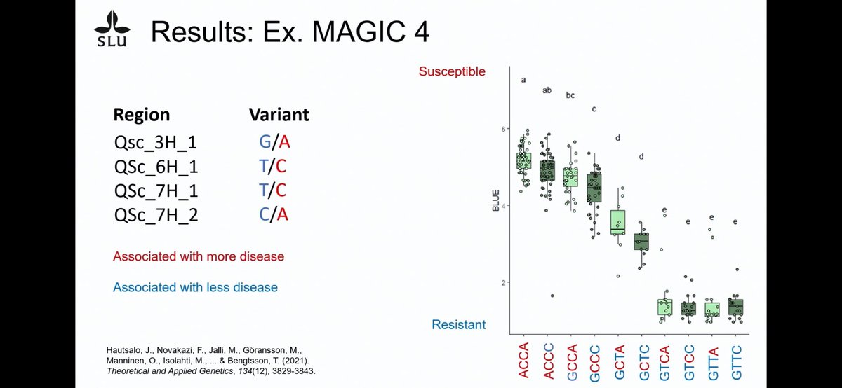 seanmhoban's tweet image. Enjoyed catching up on the Nordic conference on genetic resources. Topics include COP16, pre breeding, genetics for pest &amp;amp; disease resistance, ash dieback, DSI and climate change. Recordings are free to all. vimeo.com/1039623009 and vimeo.com/1039625510 thanks @NordGen