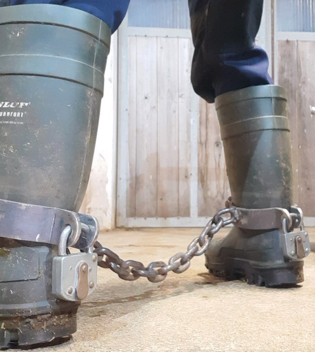 captainkirkni tweet media