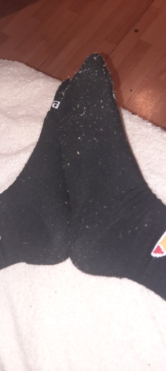Silly socks :3