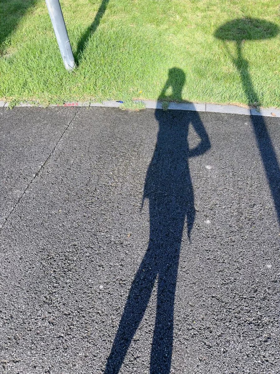 The sun is shining today, and the morning run is particularly comfortable