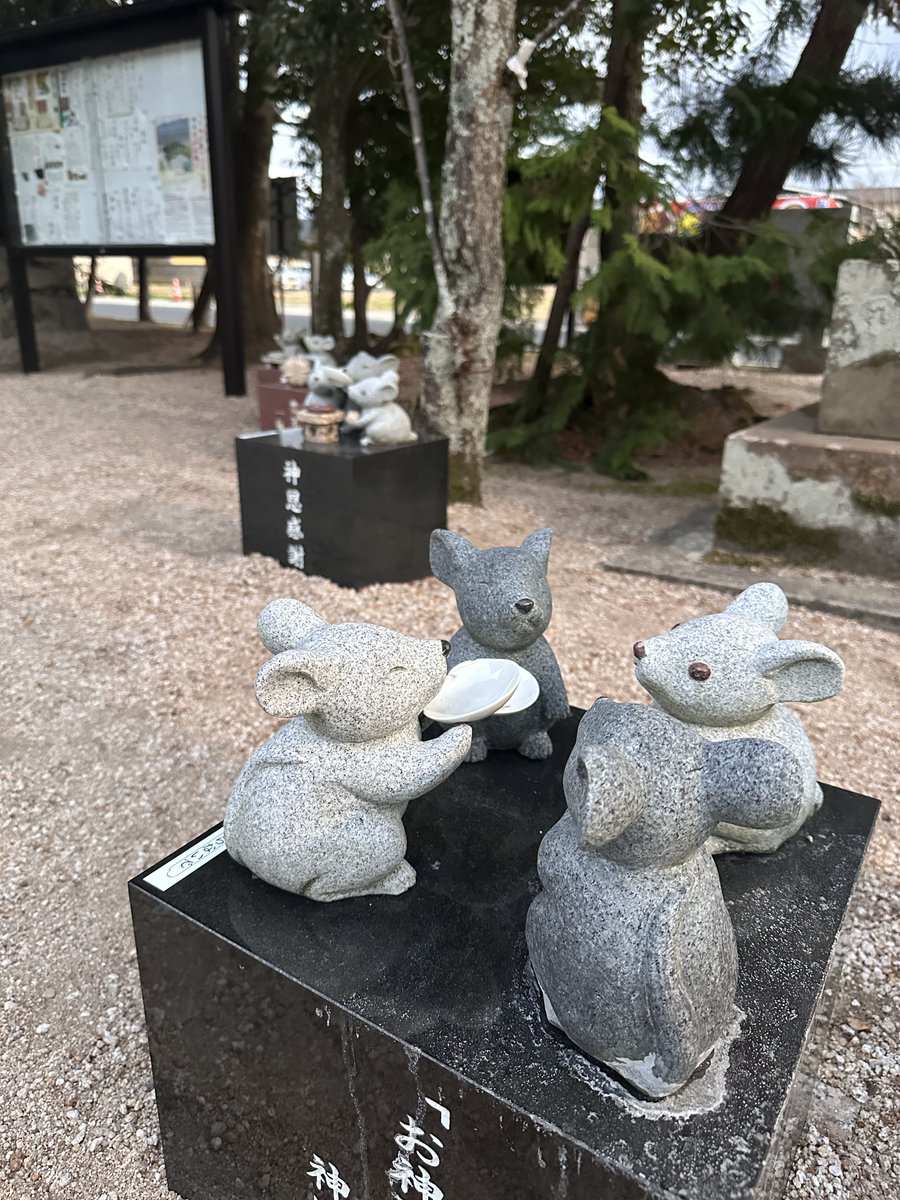 koyukineko9's tweet photo. 初詣は出雲にあるネズミの神社へ🐭 https://t.co/tZ28Gypk6E