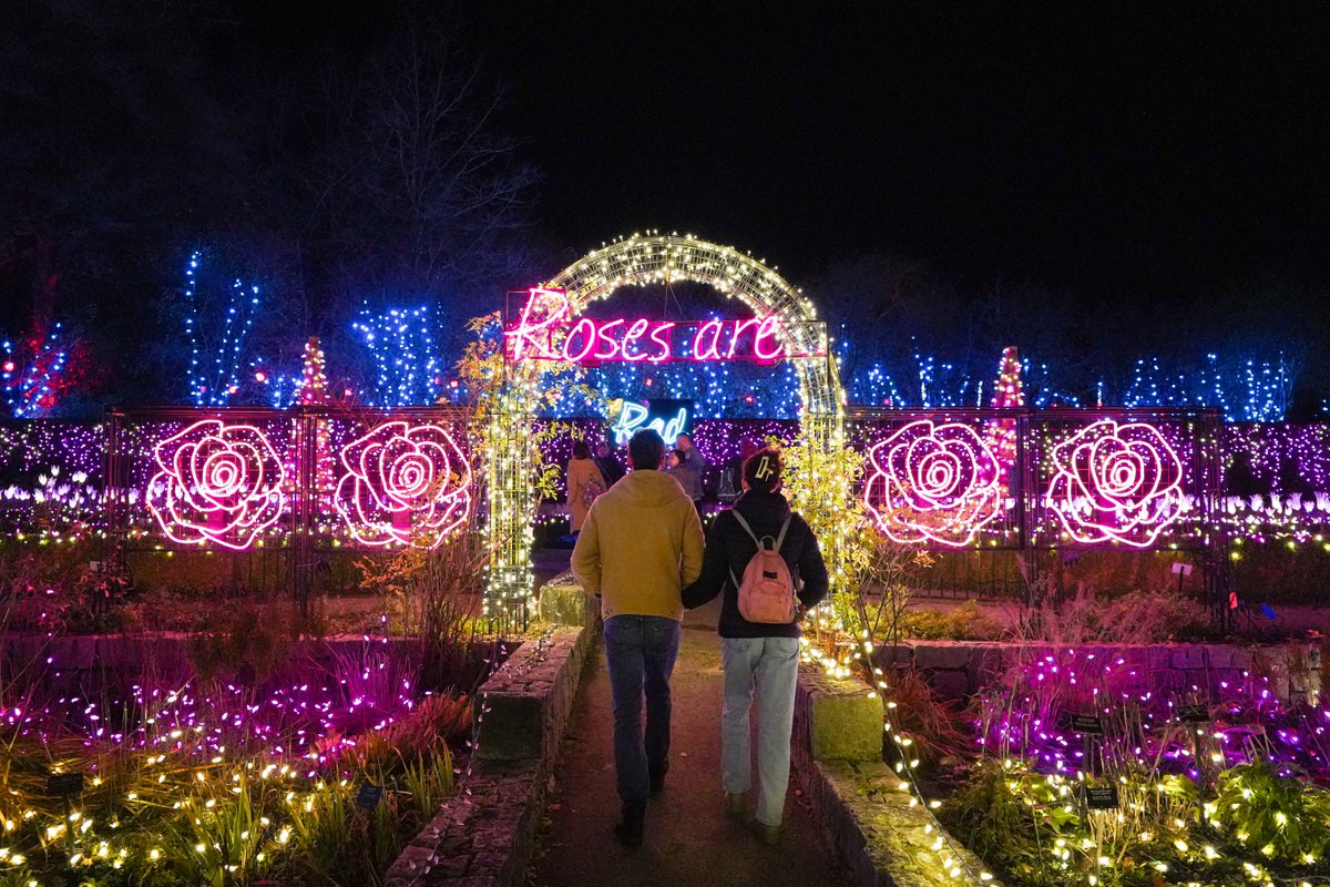 VanDusen Garden (@vandusengdn) on Twitter photo ☔️Rainy nights, brighter lights! SAVE 15% on Festival of Lights tickets for the rest of the season with promo code RAINYDAY.
Don’t let the rain dampen the final days of winter break! Book your entry time now: bit.ly/3Zj5k5b ☔️Rainy nights, brighter lights! SAVE 15% on Festival of Lights tickets for the rest of the season with promo code RAINYDAY.
Don’t let the rain dampen the final days of winter break! Book your entry time now: bit.ly/3Zj5k5b
