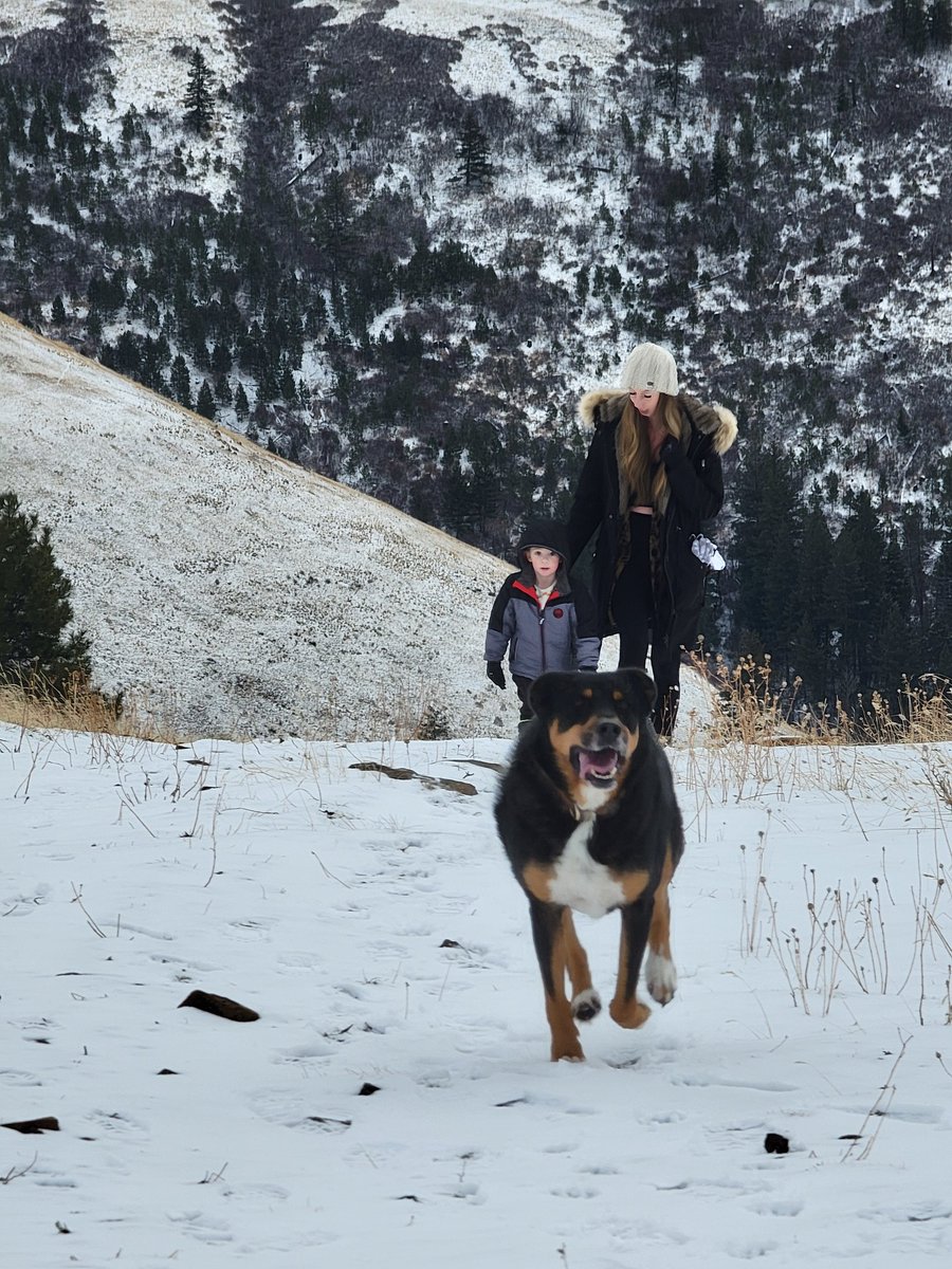 PNW Outdoor Reviews tweet media