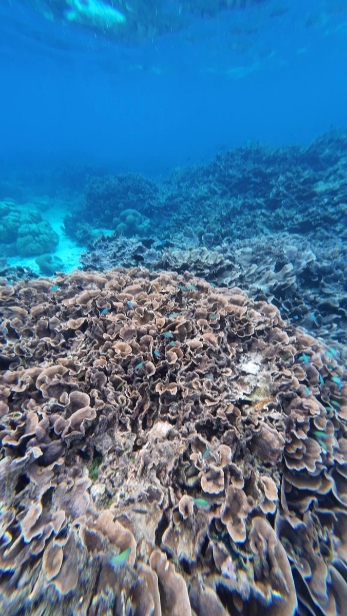 深海の冒険があなたを待っています。