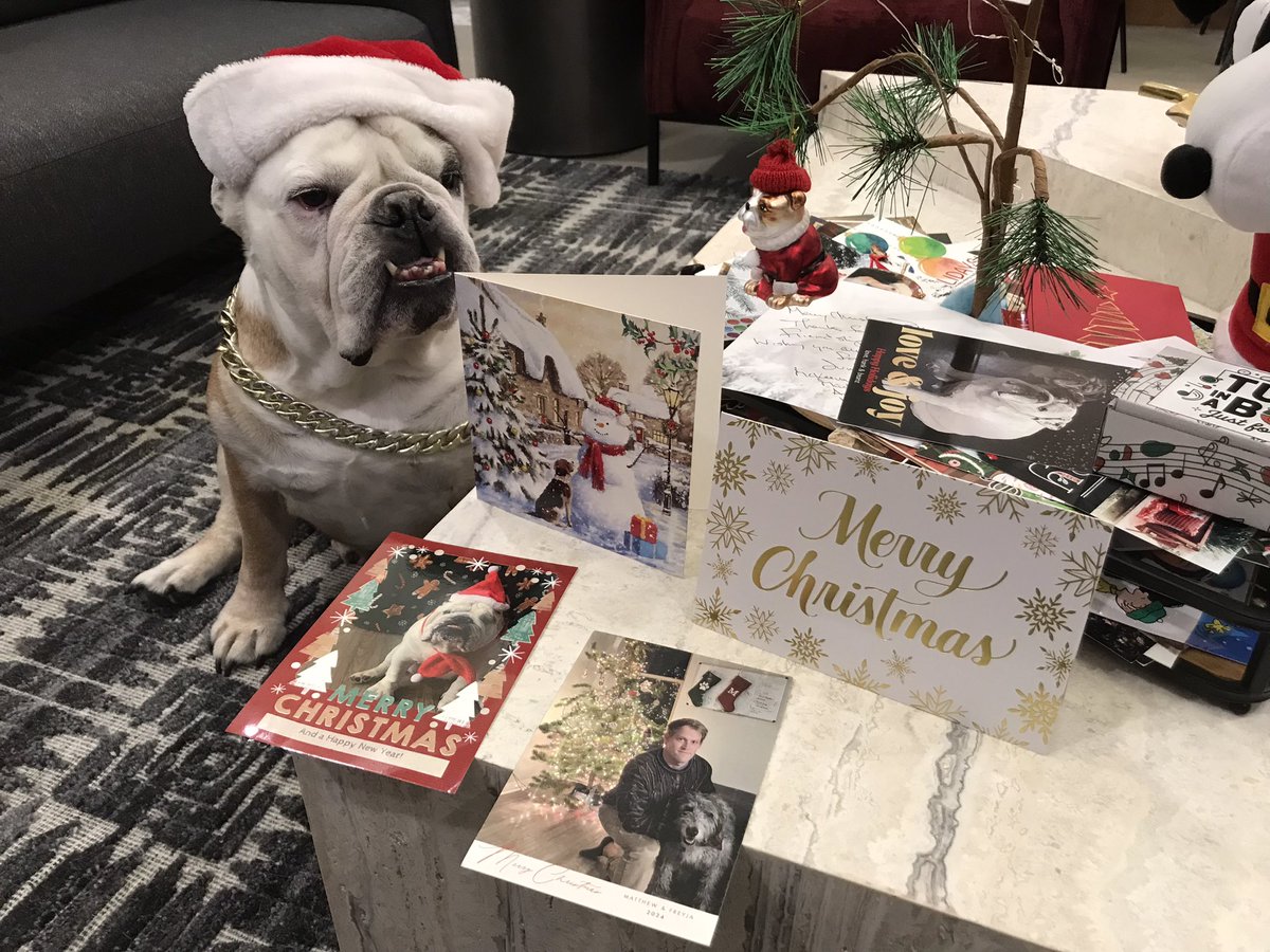 Baker (@lil_fen) on Twitter photo Thank you for the wonderful cards <a href="/KingLok43786090/">King Loki💚</a> <a href="/riley2oh/">Matthew Riley</a> <a href="/BulldogBarkley/">Murphy 🐶 Barkley's Little Brother</a> <a href="/shawn_p_lyons/">Nora the frenchie</a>
❤️❤️❤️❤️🎅🎅🎅🎅 Thank you for the wonderful cards <a href="/KingLok43786090/">King Loki💚</a> <a href="/riley2oh/">Matthew Riley</a> <a href="/BulldogBarkley/">Murphy 🐶 Barkley's Little Brother</a> <a href="/shawn_p_lyons/">Nora the frenchie</a>
❤️❤️❤️❤️🎅🎅🎅🎅