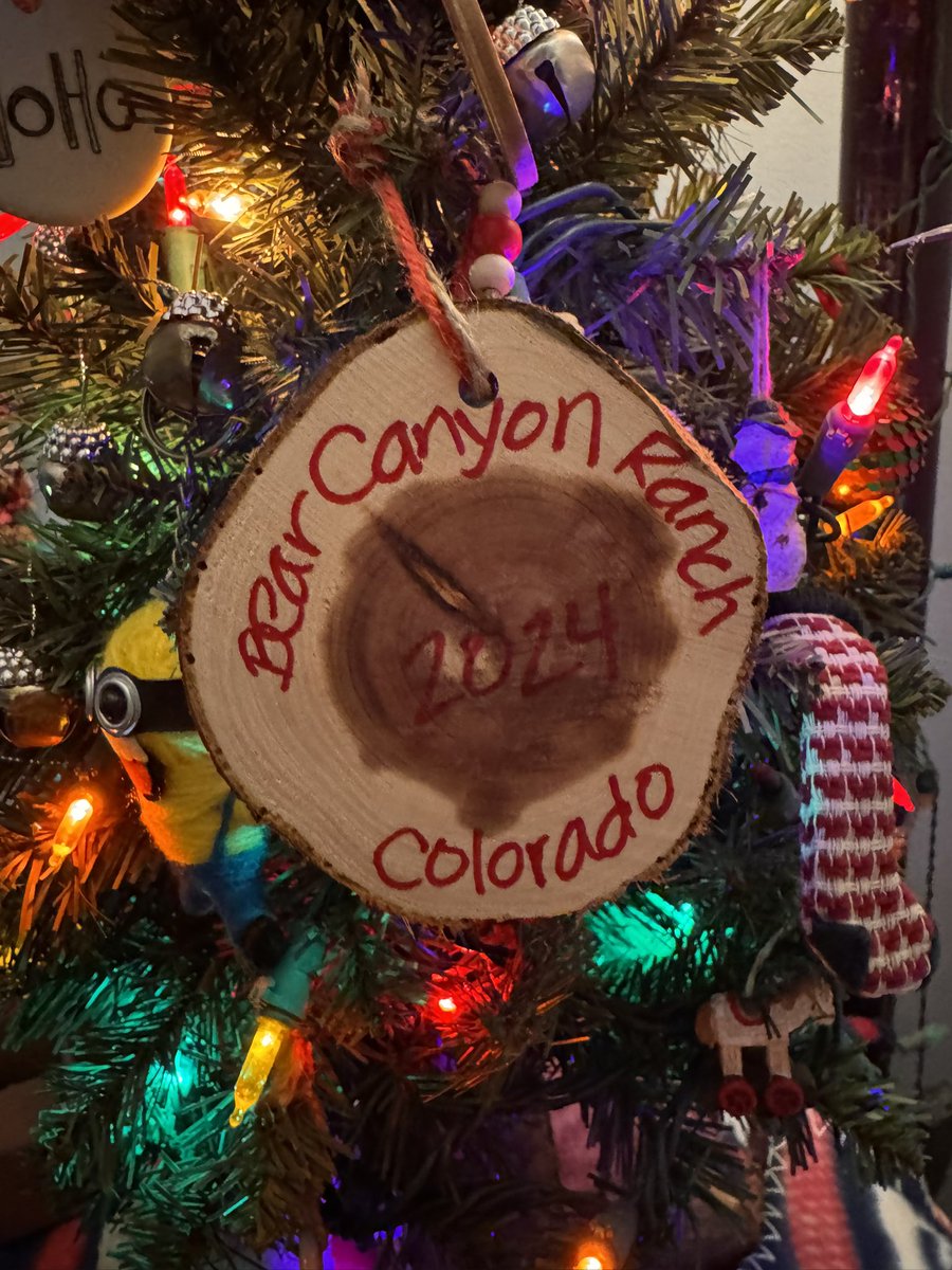 Carolina Travel Girl tweet media