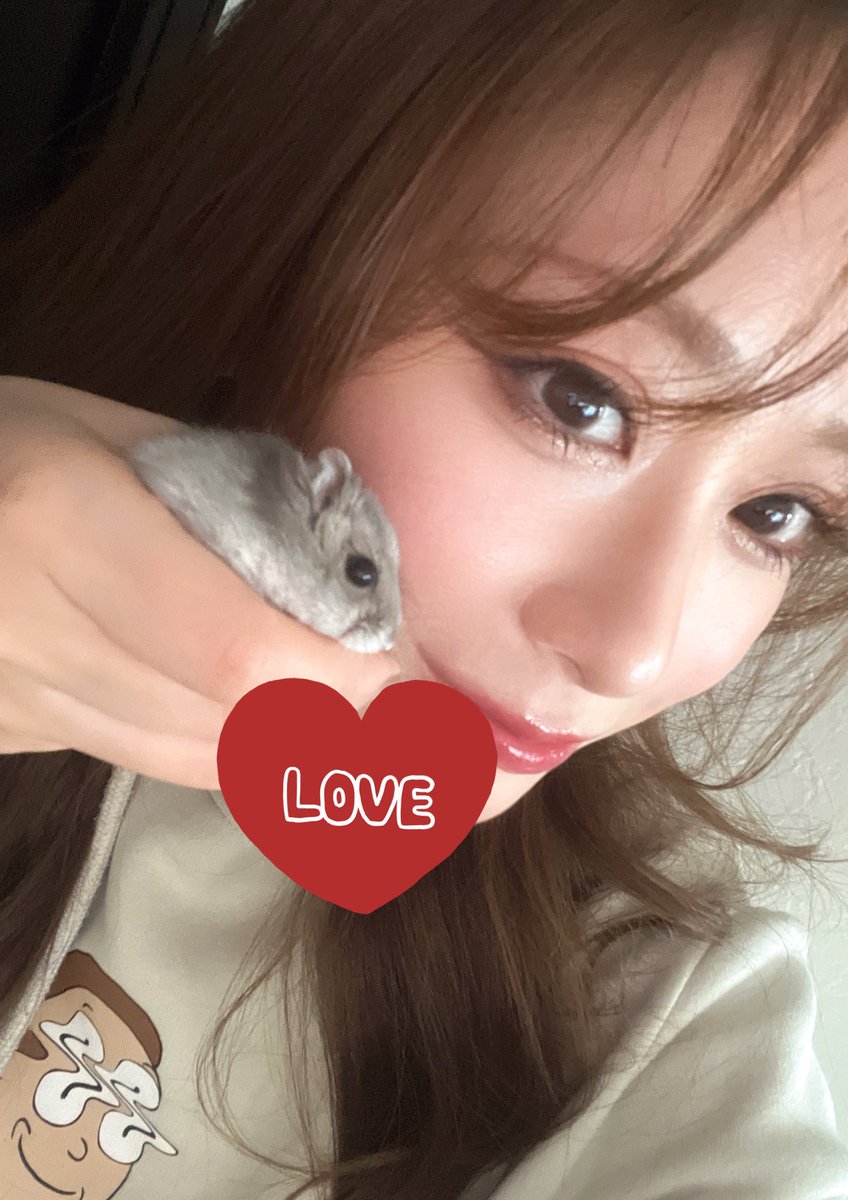 c_c_c_123_c_c_c's tweet image. 明けましておめでとう御座います㊗️
義実家に行くというクソめんどくさいクエストをクリアしたので後は2025年を楽しむだけです🎉
おみくじに従い、今日から家の電気を全てろうそくに代えて、ろうそく持ちながら街を練り歩きます🕯️
今年もよろしくお願いします🎍✨🐍
かわいいはむすた🐹