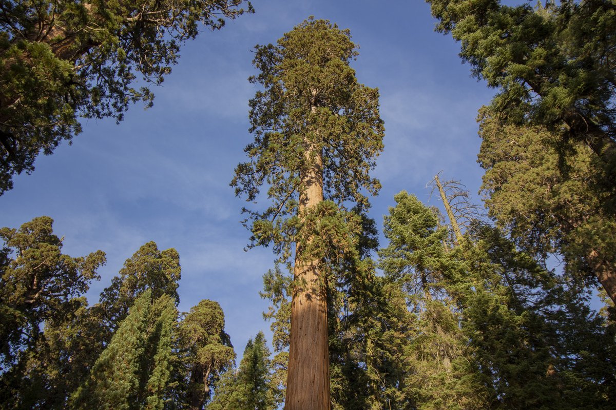 DSE - Schmidt Data Science & Environment, Berkeley tweet media